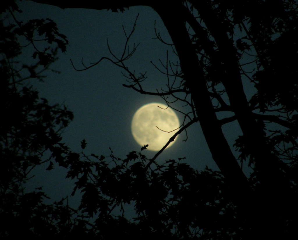 Moon, Flickr, fauxto_digit
