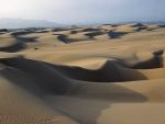 Sand-dunes-at-Oceano-Flickr-mikebaird-1024x768.jpg