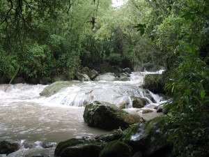 Río Dulce (Fotografía: Cayita)