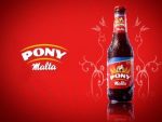 pony-malta-300x225.jpg