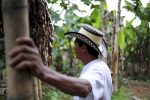 Coffee-farmer-Colombia