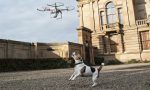 dog barking at airborne drone