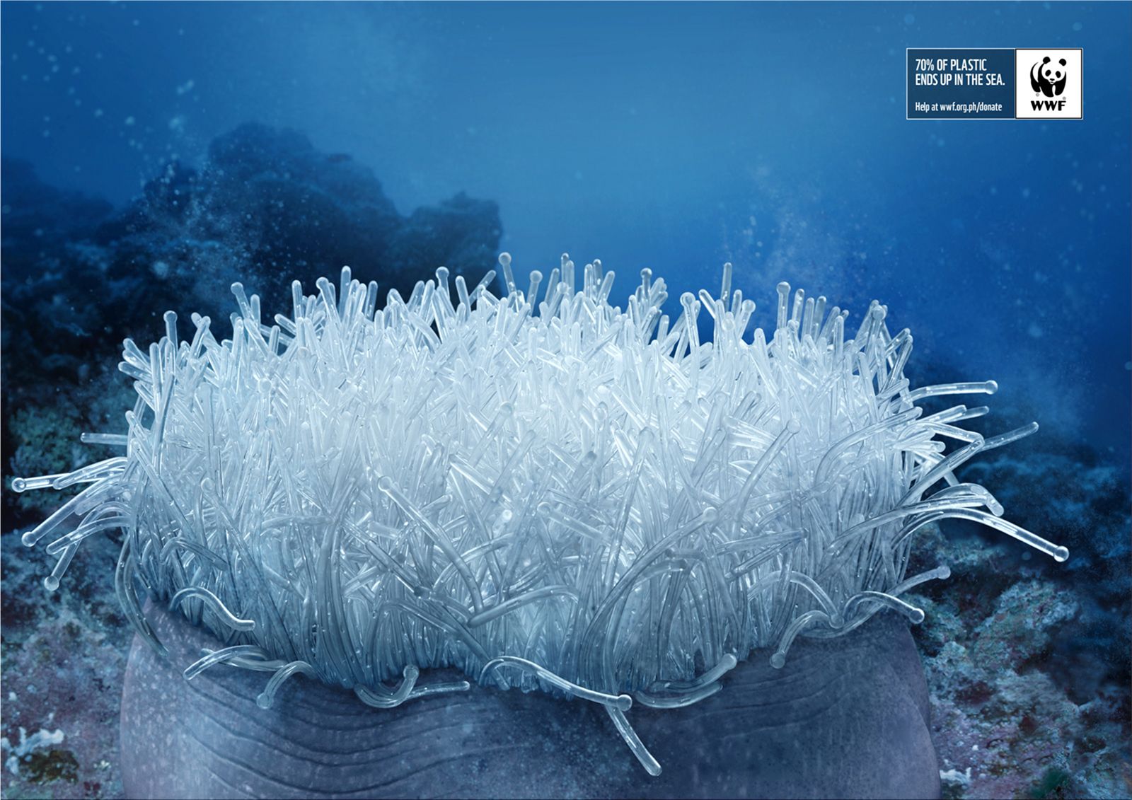 WWF-Marine-Protection-Campaign-print-ads-v26100
