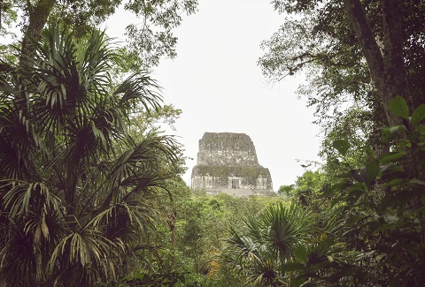 Antigua ciudad maya del Tikal - Reserva de la Biosfera Maya