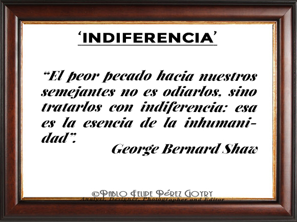 Reflexión 134_Indiferencia_George Bernard Shaw
