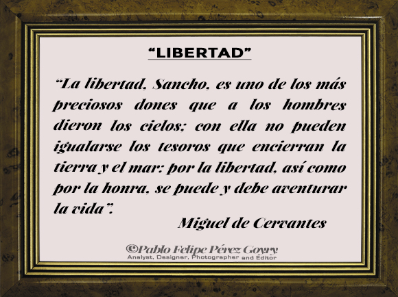 Reflexión 150_Libertad_  Miguel de Cervantes