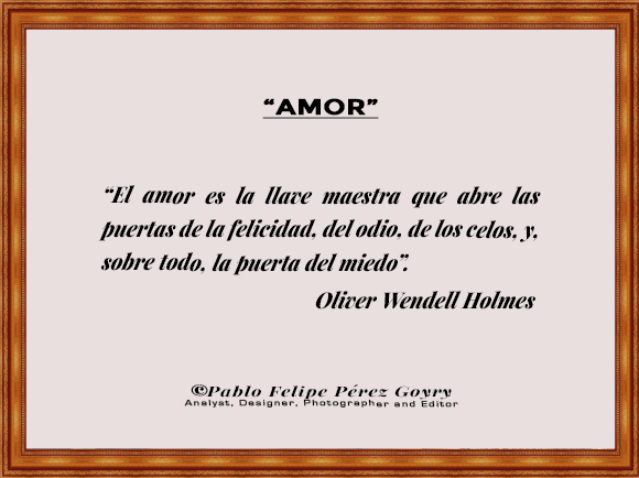 Reflexión 159_Amor_Oliver Wendell Holmes