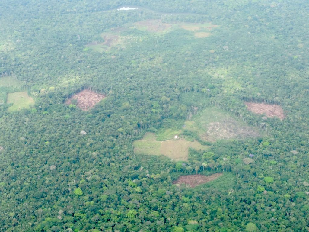 Deforestación en el Parque Nacional Natural Nukak. Foto Cortesía de SIMCI / UNODC.