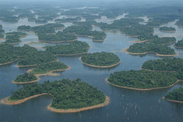 Islas en la Reserva Biológica do Uatumã, formadas por inundaciones relacionadas con la presa de Balbina en el Amazonas. La pérdida de hábitat y la fragmentación, además de las emisiones de gases de efecto invernadero debido al suelo y a la vegetación sumergida, son solamente dos de los impactos que tienen las presas tropicales sobre el medio ambiente. Foto © Carlos Peres
