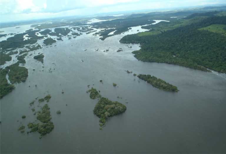 Big Bend del río Xingú, que sufrirá una drástica reducción de caudal debido a la presa de Belo Monte. Están en peligro directo especies de peces endémicas y la exposición del lecho del río hará posible que se explote una mina de oro de 1305 kilómetros cuadrados (504 millas cuadradas). Foto © Philip Fearnside.