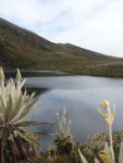 servicios_ecosistemicos-agua-conservacion-recursos_naturales-colombia-1