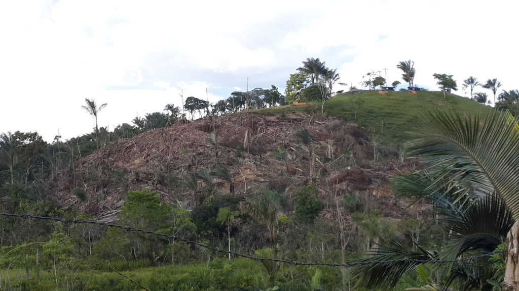 La tasa de deforestación detectada en el Caquetá, según el informe divulgado este año por el IDEAM, equivale al 19% del país y casi la mitad de la Amazonia. Foto: Cortesía de la Subdirección de Administración Ambiental, Corpoamazonia.