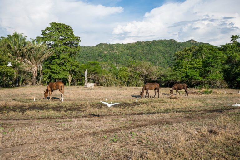 Deforestación en el Tolima. Foto de Felipe Villegas V. Instituto Humboldt.