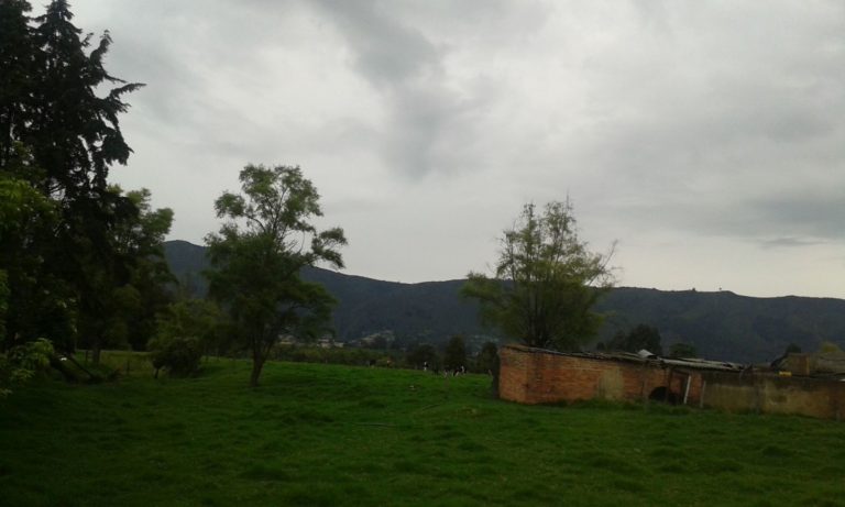 Algunas casas de campesinos ubicadas en la Reserva Thomas van der Hammen. Foto de Fernanda Sánchez.