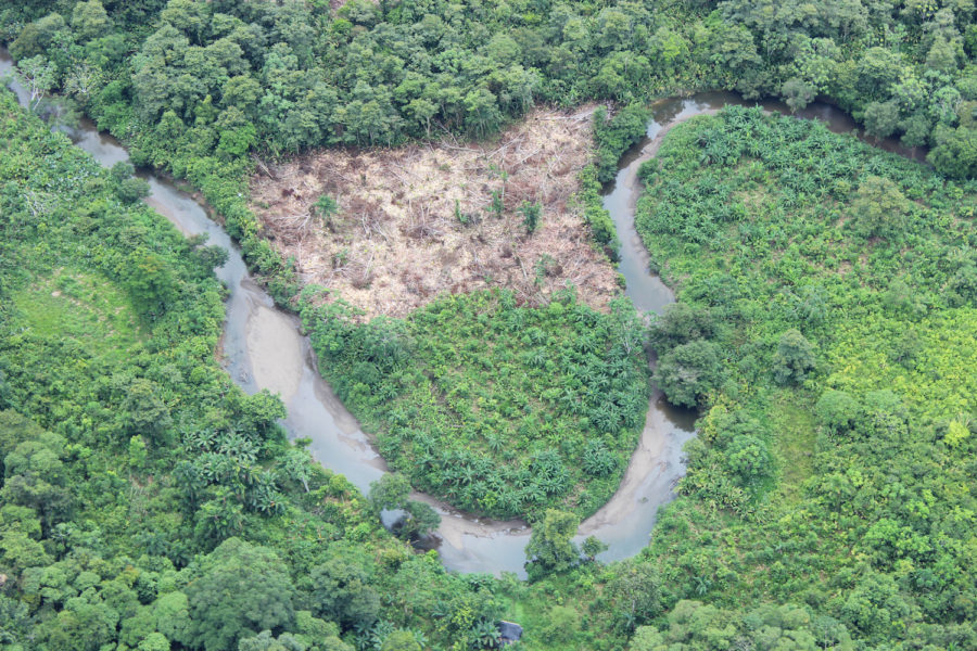 Deforestación al sur de Chocó, en Colombia. Foto: Cortesía de Fondo Acción.