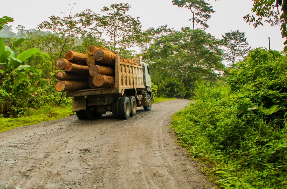 Camión cargado de madera transitaba por una vía de segundo orden cerca del poblado de Zapallo, en el cantón Eloy Alfaro, en la provincia de Esmeraldas, en el norte del Ecuador. Foto de  José Schreckinger.