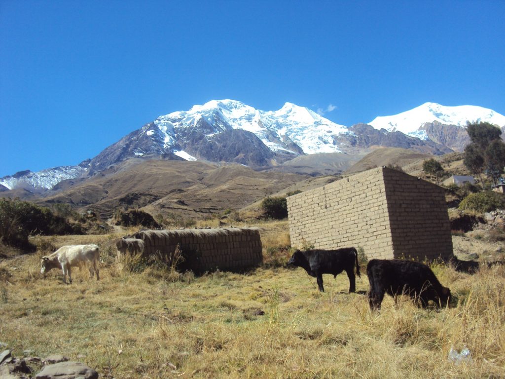 La comunidad Pinaya, ubicada en las faldas del nevado Illimani, usa el agua que escurre del glaciar para sus cultivos. 