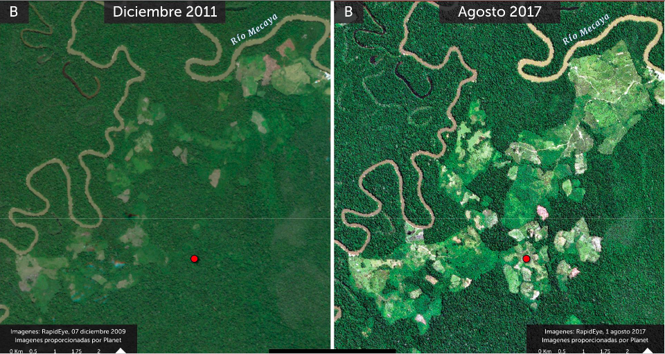 Imágenes satelitales ofrecen un panorama de cómo avanzó la deforestación en Colombia. Foto: MAAP