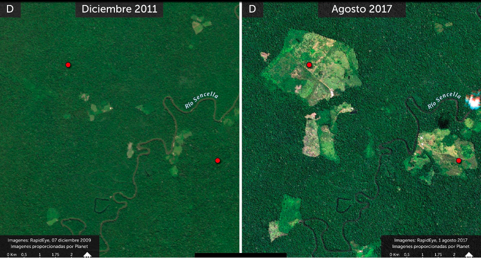 A partir del 2010 se agudizó la deforestación en el departamento del Putumayo. Foto: MAAP