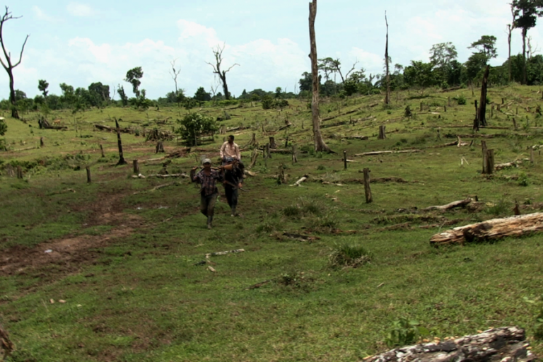 Nicaragua: Áreas recientemente deforestadas en reserva Bosawas. Foto: Michelle Carrere.
