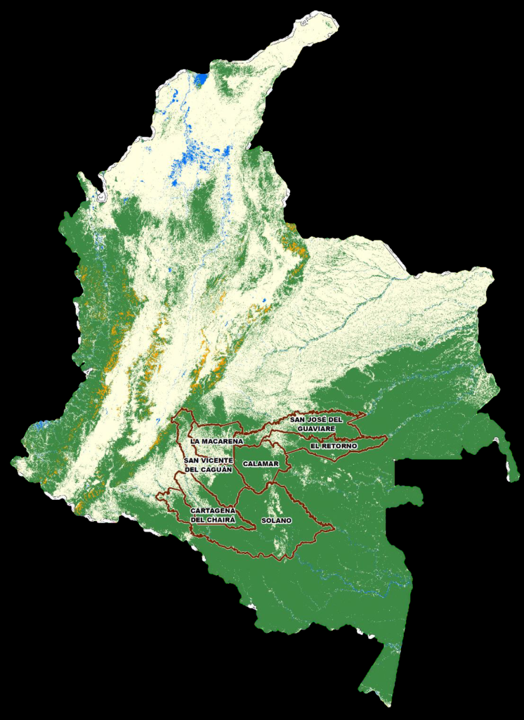 En solo 7 municipios se concentra el 49,1 % de la deforestación en Colombia. Foto: Ideam.