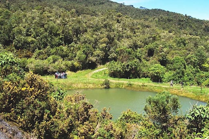 Vista panorámica de la Reserva Biológica Encenillo. Foto: Cortesía Fundación Natura.