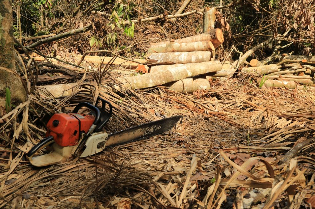 En abril de 2018 una operación militar permitió capturar a 3 personas que deforestaban en el Parque Tinigua. También se incautaron varias motosierras. Foto: Cormacarena.