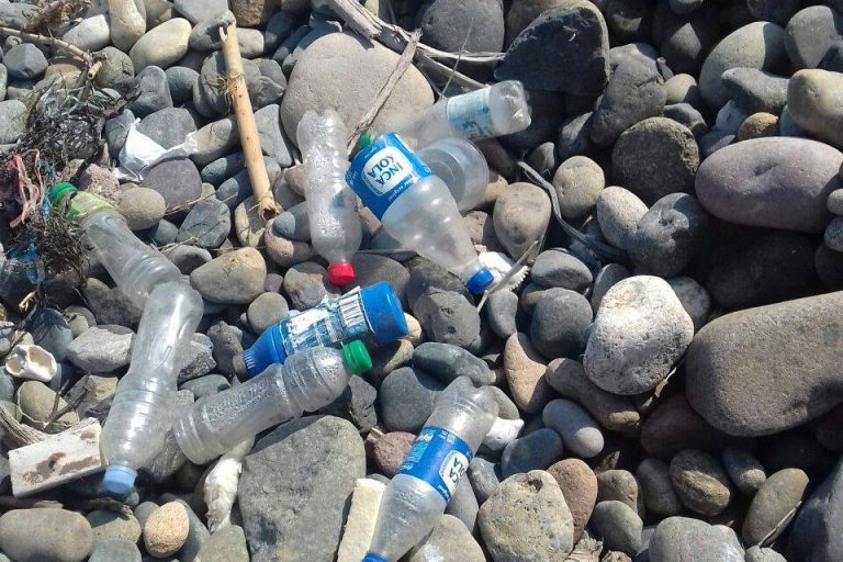 Botellas plásticas y otros elementos de este material se encuentran en las playas de Perú. Foto: L.O.O.P