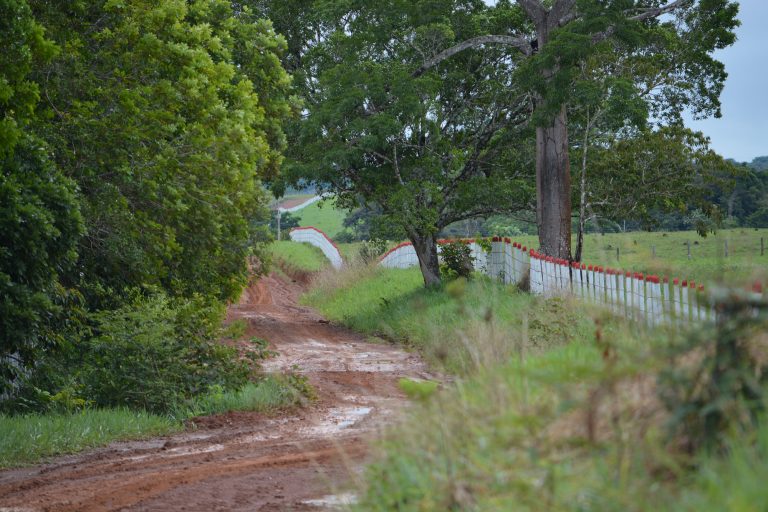 La construcción de vías clandestinas es otro fenómeno típico en el acaparamiento de tierras. Foto: Fundación para la Conservación y el Desarrollo Sostenible (FCDS).