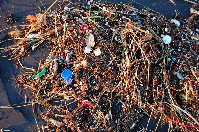 Plástico que apareció en la playa después de una tormenta en California. Imagen de Kevin Krejci a través de Wikimedia Commons (CC BY 2.0).