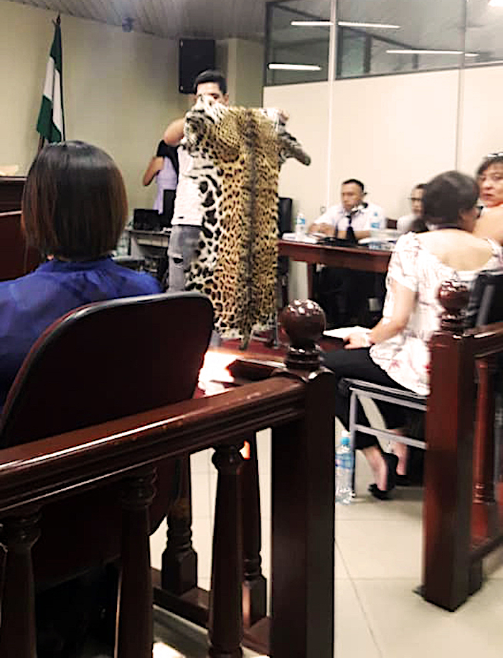 Una de las pieles decomisadas en el operativo se presenta como prueba durante el juicio. Foto: Gina Muñoz
