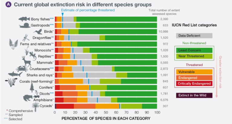 El cuadro muestra el riesgo de extinción de los diferentes grupos de especies, tomando en cuenta la categorización de la Unión Internacional para la Conservación de la Naturaleza. Fuente: IPBES.