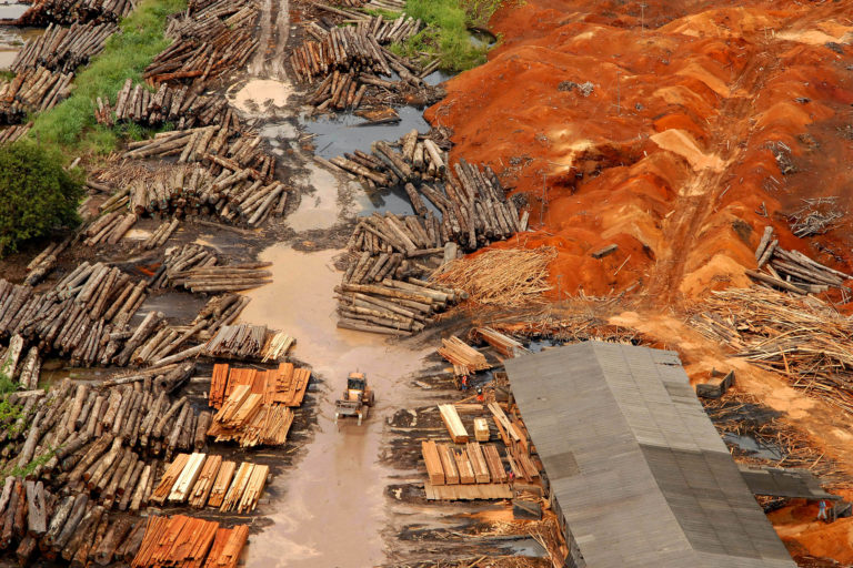Una de las madereras más grandes instaladas en el municipio de Tailandia, en Pará. Foto: Paulo Santos /Interfoto/ Instituto Socioambiental.