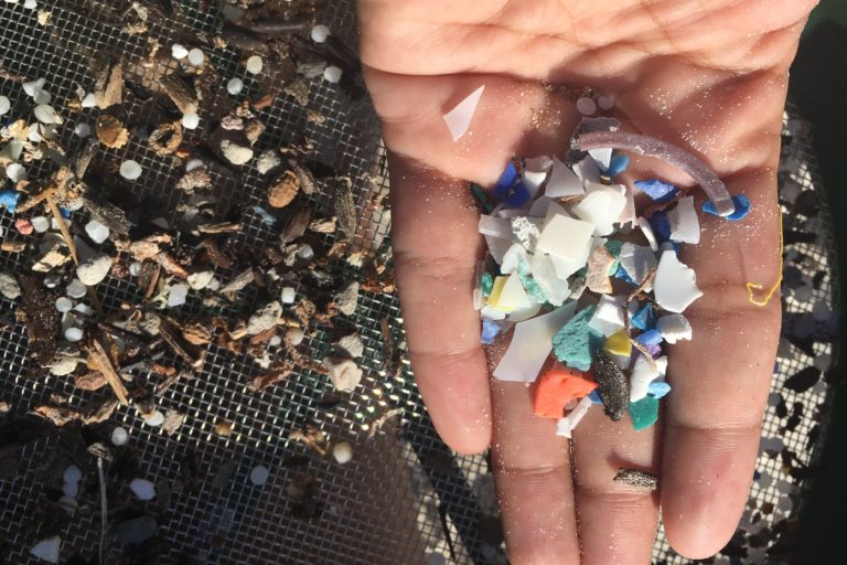 Plástico encontrado durante una limpieza en las playas de las islas Galápagos. Fuente: Parque Nacional Galápagos
