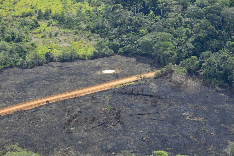 Una carretera en medio de bosque quemado en la Amazonía colombiana. Foto: Jorge Contreras.