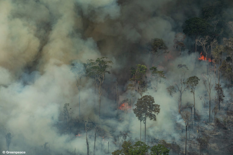 Vista aérea de una gran área quemada en la ciudad de Candeiras do Jamari en el estado de Rondonia. (Fotografía: Victor Moriyama / Greenpeace).