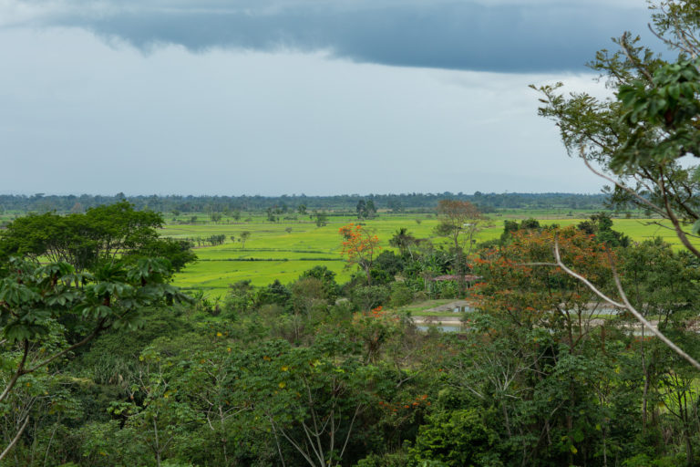 El Bosque de Protección Alto Mayo está muy cerca de la comunidad Shampuyacu. Foto: Conservación Internacional.