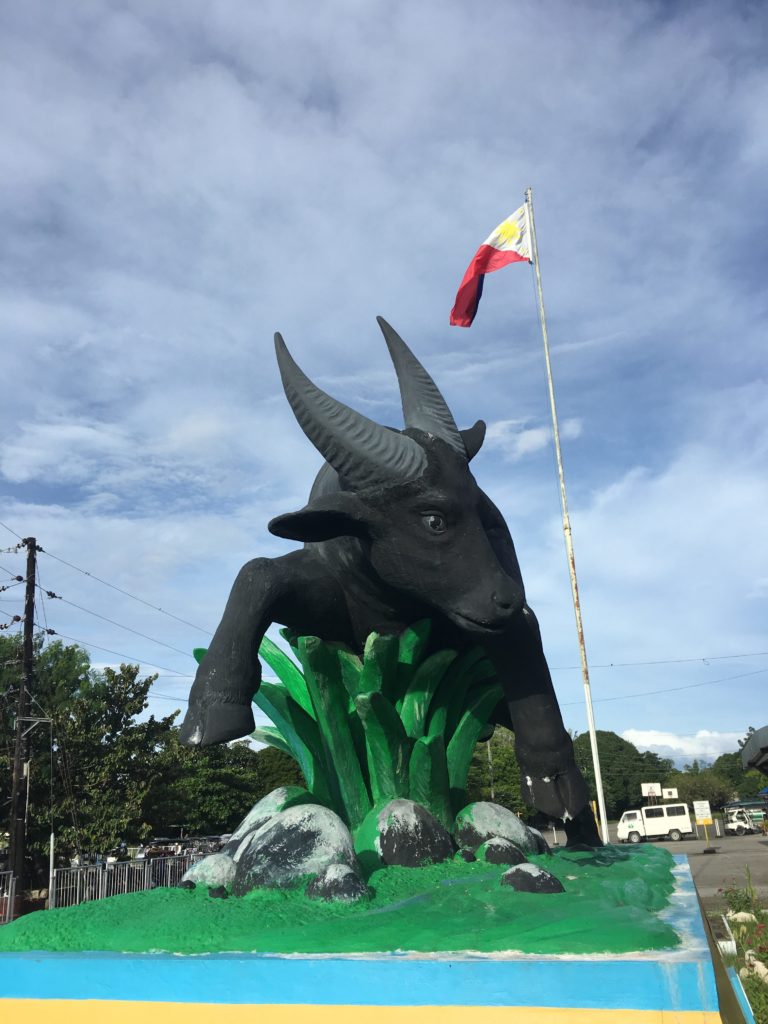 Una estatua del tamarao en su isla de origen, Mindoro. La especie se ha vuelto motivo de orgullo para los filipinos. Foto por: Barney Long.