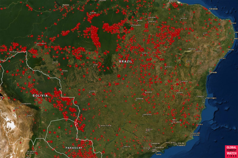 Global Forest Watch (GFW): mapa de incendios activos en la semana del 13 de agosto de 2019 en Brasil utilizando datos satelitales VIIRS y MODIS. Cortesía de GFW.