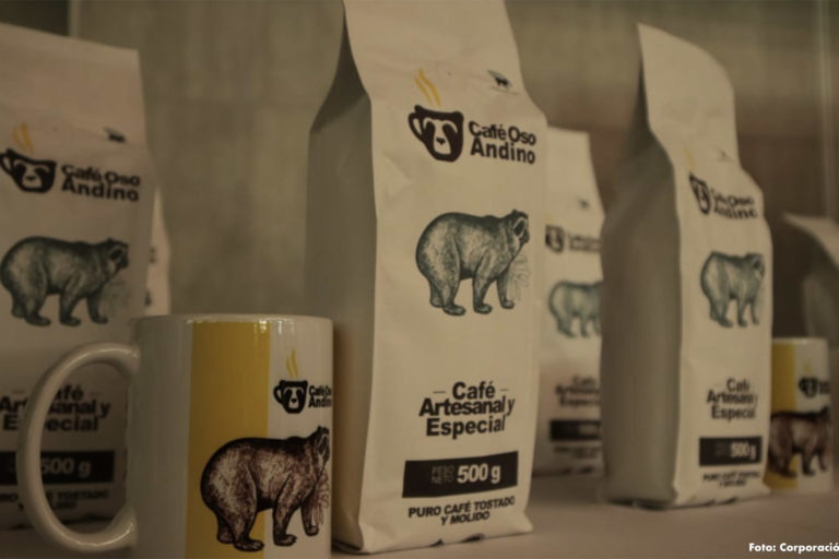 Café Oso Andino es un nuevo producto desarrollado para apoyar la conservación de la especie. Foto: Corporación Manantial.