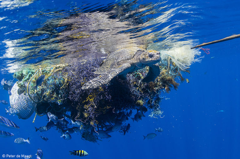 Segundo lugar en la categoría Clean Our Oceans del concurso fotográfico del Día Mundial de los Océanos 2019. Foto: Peter de Maagt
