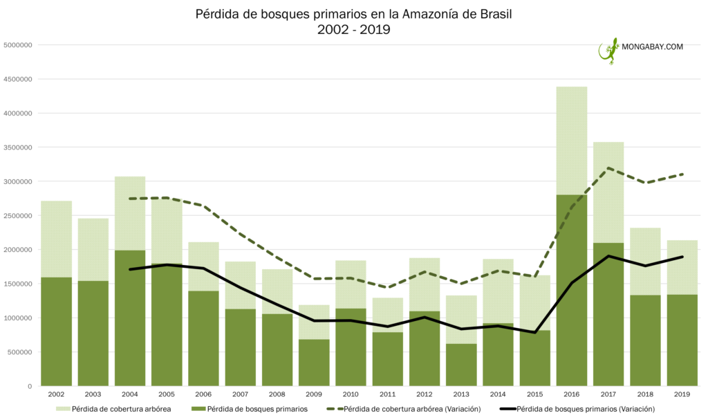 El cuadro muestra la variación de la pérdida de bosques primarios en Brasil entre el 2002 y 2019. Fuente: Elaboración de Mongabay.