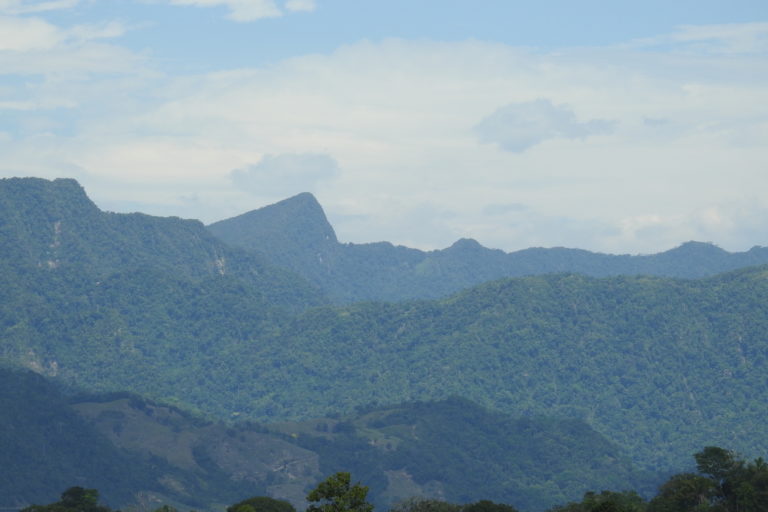 La Serranía de Las Quinchas tiene una alta importancia ambiental pero ha sido zona histórica de conflicto armado en Colombia. Foto: Camilo Altamar.