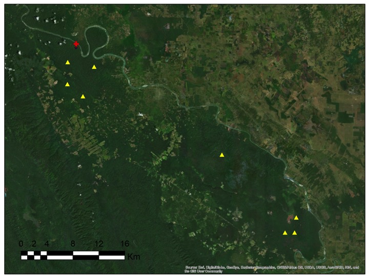 Mapa con los ocho registros de cámaras trampa, durante los recorridos de Pac-man. La cruz roja indica las coordenadas donde apareció su cadáver. Imagen: Programa de Monitoreo de la UNAM, Jaguares de la Selva Maya y Conanp.