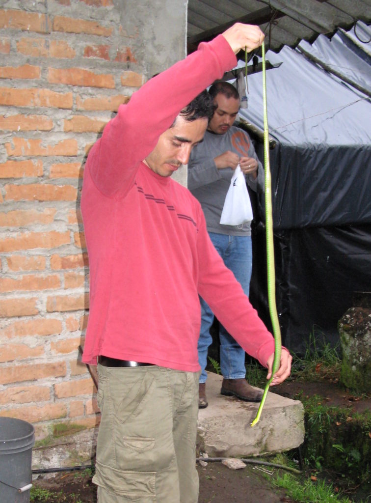 El herpetólogo Omar Torres es uno de los científicos que más trabaja con serpientes en Ecuador. Foto: Omar Torres.
