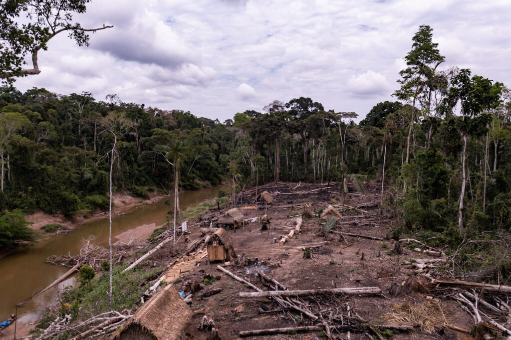 Una comunidad ilegal talando y despejando tierras para la agricultura en el río Mapuya. ©Jason Houston/Upper Amazon Conservancy.