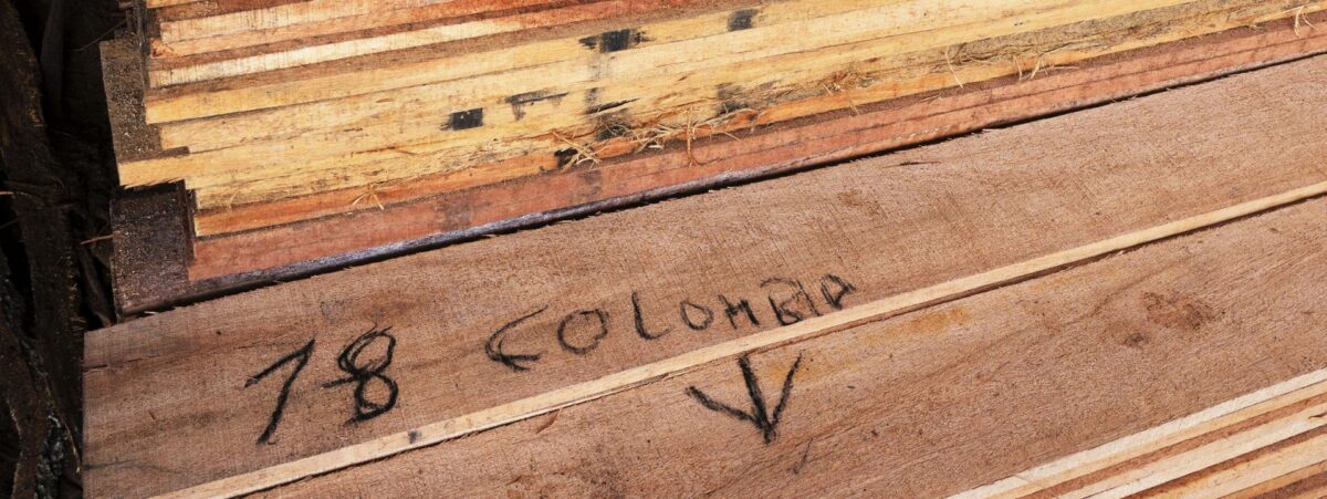 “Más del 40 % de las transacciones de exportación de madera en Colombia fueron facturadas fraudulentamente” | ENTREVISTA