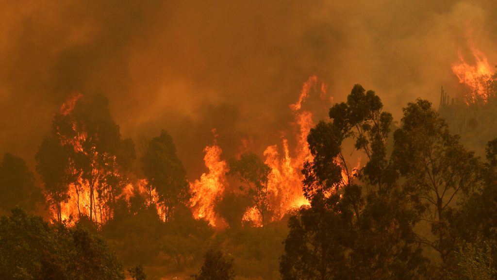 Incendios en Chile: “La política pública no ha sido capaz de avanzar a la velocidad de los hechos” | ENTREVISTA