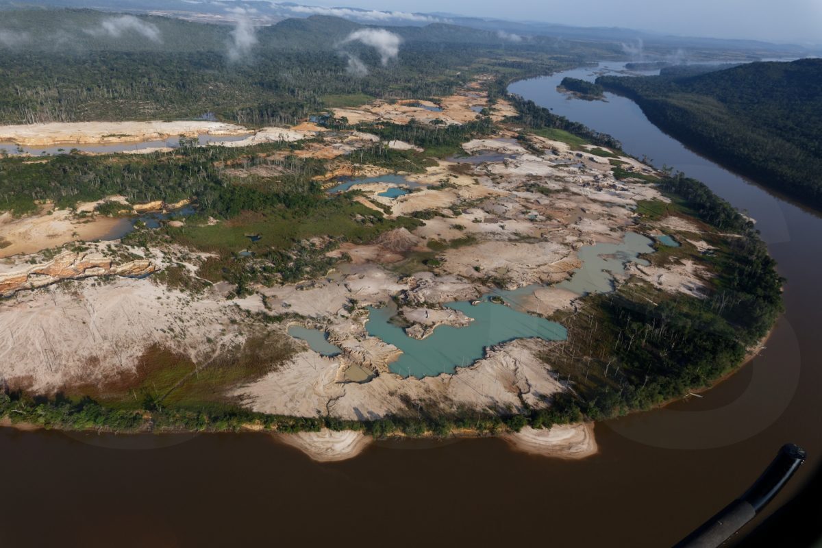 Venezuela ha perdido más de un millón de hectáreas de bosques y sabanas en solo dos décadas | INFORME
