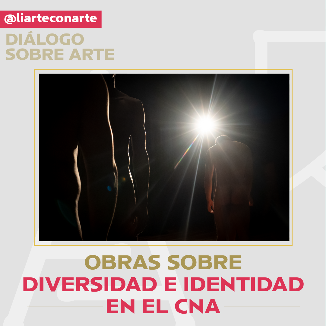 Obras sobre diversidad e identidad en el Centro Nacional de las Artes Delia Zapata
